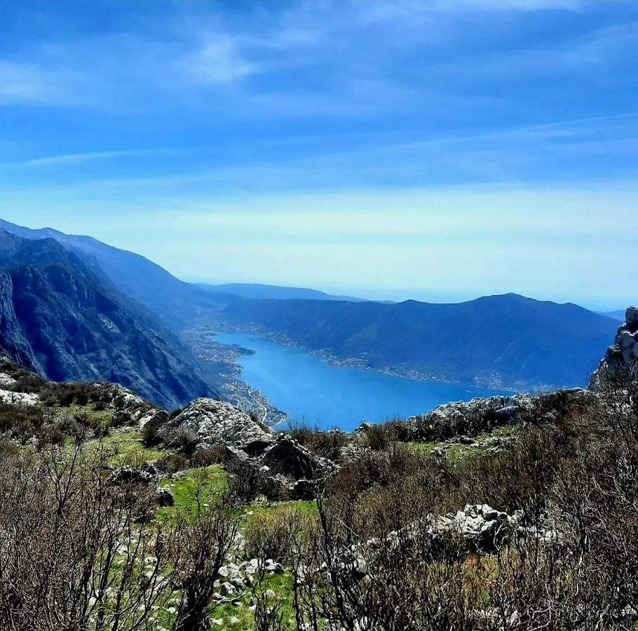 Apartments Pejanovic Kotor Exterior foto